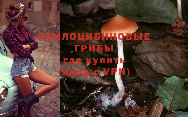 не бодяженный Баксан